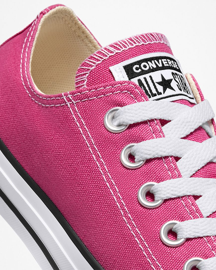 Men's Converse Chuck Taylor All Star Seasonal Color Low Top Shoes Fuchsia / White / Black | AU 401E9H